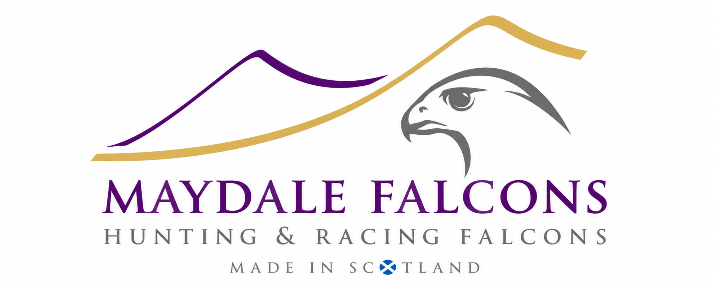 Maydale Falcons — Hunting & Racing Falcons, Made in Scotland